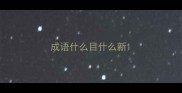 成语什么目什么新