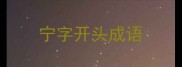 宁字开头成语