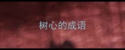 树心的成语