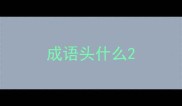 成语头什么