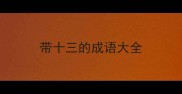 带十三的成语大全