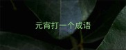 元宵打一个成语
