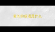 最长的成语是什么