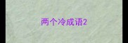 两个冷成语
