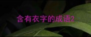 含有衣字的成语
