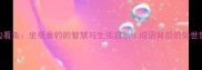 河边看鱼坐观垂钓的智慧与生活启示成语背后的处世哲学