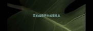 霄的成语开头成语接龙