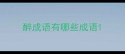 醉成语有哪些成语
