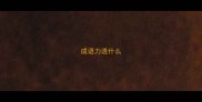 成语力透什么