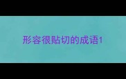 形容很贴切的成语
