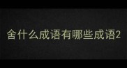 舍什么成语有哪些成语