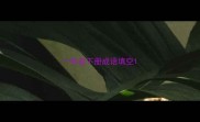 一年级下册成语填空