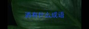 洒有什么成语