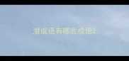 潜成语有哪些成语
