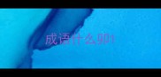 成语什么卯