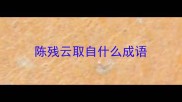 陈残云取自什么成语