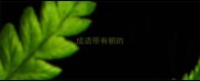 成语带有朝的