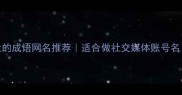 100个积极向上的成语网名推荐适合做社交媒体账号名正能量必备