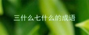 三什么七什么的成语