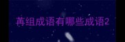 苒组成语有哪些成语