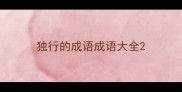 独行的成语成语大全