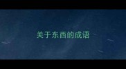 关于东西的成语