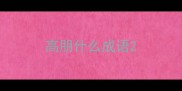 高朋什么成语