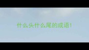 什么头什么尾的成语