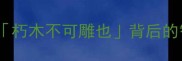木头斧头成语朽木不可雕也背后的智慧与人生启示