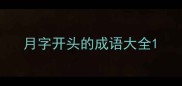 月字开头的成语大全