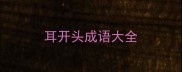 耳开头成语大全