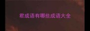 君成语有哪些成语大全