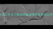10个形容工作学习勤奋的成语推荐及高效应用指南