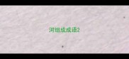 河组成成语