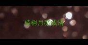 桂树月亮成语