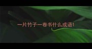 一片竹子一卷书什么成语