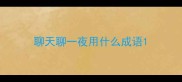 聊天聊一夜用什么成语