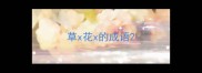 草x花x的成语