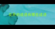 花开的成语有哪些成语