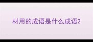 材用的成语是什么成语