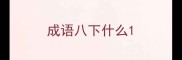 成语八下什么