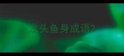龙头鱼身成语