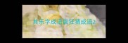 其乐字成语疯狂猜成语