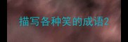 描写各种笑的成语