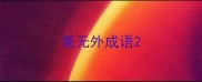 毫无外成语