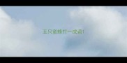 五只蜜蜂打一成语