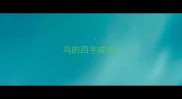 鸟的四字成语
