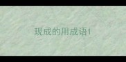 现成的用成语