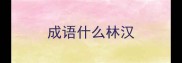 成语什么林汉