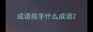 成语投字什么成语